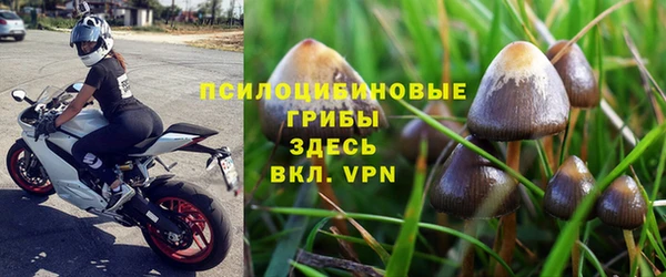 бутират Алзамай