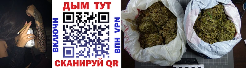 Бошки Шишки планчик Мамоново