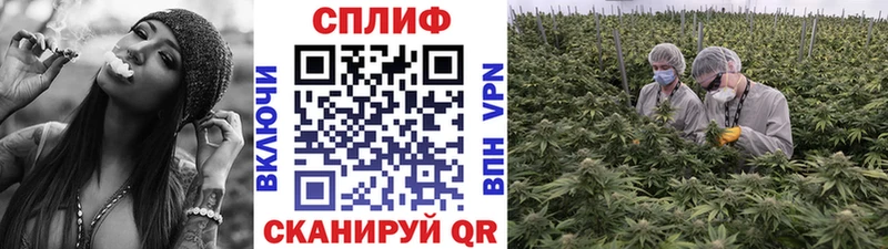 Конопля LSD WEED  сколько стоит  Мамоново 